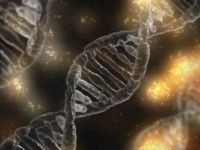 Bilim Adamları, CRISPR ile DNA Yerine RNA Düzenlenebilecek