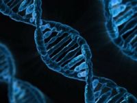 Tüketilen Gıdanın DNA'ya Etkileri Tespit Edildi
