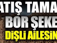Bor Şeker, Dişli ailesine satılıyor!