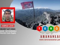 Kırmızı Kategoride Aranan Terörist Etkisiz Hale Getirildi
