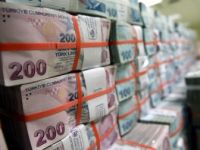 Ödenekte 'Aslan Payı' 388,9 Milyar Lirayla Hazine ve Maliye Bakanlığının
