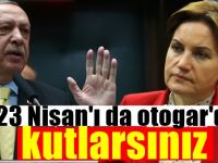 Meral Akşener'den AKP'ye resepsiyon tepkisi