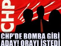 Ünlü sanatçı CHP'den aday olmak istiyor: Yer belli