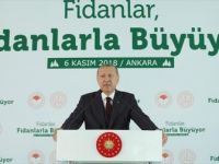 Erdoğan: 'Tabiata Bakış Açımızı Düzeltmezsek Dünya Yaşanılır Olmaz'