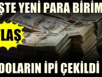 Dolara darbe üstüne darbe! İşte yerine gelecek para birimi...