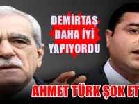 Ahmet Türk'ten Demirtaş açıklaması: Daha iyi yapıyordu