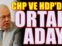 CHP ve HDP'den Flaş hazırlık! İşte ortak adayları