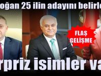 Erdoğan 25 ilin adayını belirledi! Sürpriz isimler var...