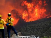 California'daki Yangınlarda Kötü haber geldi