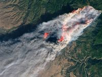 California'daki Yangınlarda Can kaybı artıyor