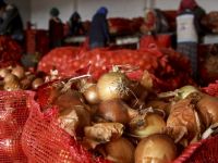 Fiyatı üç katına çıkmıştı! Uyanıkların oyunu deşifre oldu