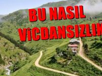 Dağları, yaylaları, meraları katlettiler
