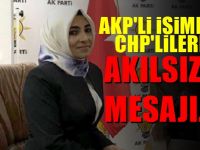 AKP'li İsimden Muhalefete oy verenlere: Akılsız Vatansız İmansız hakareti