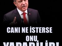 Şok eden çıkış : Erdoğan, canı ne isterse onu yapabilir