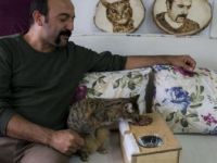 Ahşap Ustası Kaplan, İki Bacağı Olmayan Kediyi Hayata Bağladı