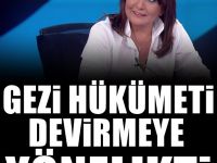 Sevilay Yılman: Gezi hükümeti devirmeye dönük derin bir operasyon