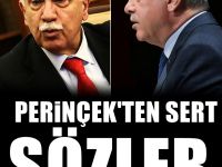 Doğu Perinçek: Bir devlet adamı bu şekilde konuşamaz