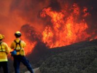 California'daki Orman Yangını 2018'in En Maliyetli Doğal Afeti Oldu