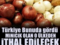 Türkiye bunuda gördü! İzmir'den bile küçük ülkeden soğan ithali