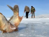 Çıldır Gölü'nde Eskimo Usulü Balık Avı