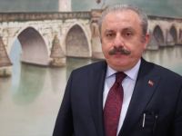 Şentop: 'Tanzim Satışlar Balon Fiyatları Söndürdü'