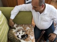 Doğumunu Yaptırdığı Kedi ile Yavrularını Sahiplendi