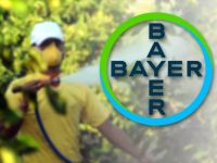 Alman Kimya Devi Bayer'e 80 Milyon Dolarlık Kanser Cezası