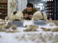Anadolu'nun Gizli Kalmış 'DNA' Hazinesini Bulacak İlk Laboratuvar