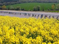 TUR 2019'un Dördüncü Etabı Balıkesir'de