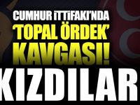 Cumhur İttifak'ında topal ördek kavgası