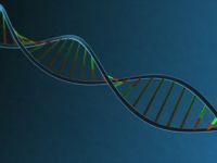 İnsan Dna'sının Müziği Notalara Döküldü