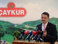 Pakdemirli: İnşallah Çok Güzel Bir Çay Sezonu Yaşayacağız