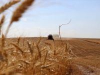 Tarım ve Ormancılığın 25 Yıllık Yol Haritası Oluşturulacak