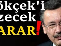 Mahkeme kararını verdi : 'Gökçek çok üzülecek'
