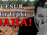 Şahan Gökbakar: Kendi ülkenin tabiatını satarsan…