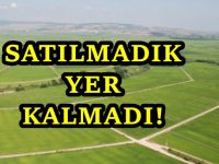 Hazine arazileri parsel parsel satıldı! İşte 5 yıllık bilanço