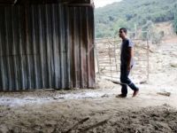 Sele Kapılan Hayalini Yeniden Yeşertmek İstiyor