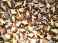 Kestane Tezgahlarda Kilogramı 80 Liradan Satışa Sunuldu