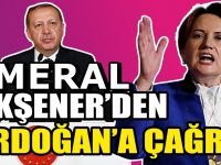Meral Akşener, Erdoğan'a seslendi: Makamınıza yakışmaz
