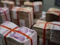 Bütçede Aslan Payı 'Hazine ve Maliye'ye
