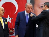 Erdoğan, Fenerbahçe Yüksek Divan Kurulu Üyesi Oldu