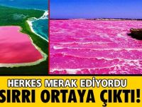 Sanılanın aksine nedeni meğer buymuş! Ezber bozan sırrı açığa çıktı
