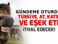 Sudan'dan at ve eşek eti ithal edilecek