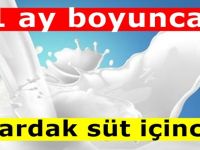 1 Ay boyunca Her gece bir bardak süt içenlerde yaşanan 8 değişim