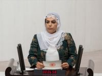 Hdp Diyarbakır Milletvekili Remziye Tosun Hakkında Soruşturma Başlatıldı