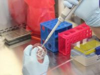 Kovid-19 Tanısında En Güvenilir Sonucu PCR Testi Veriyor