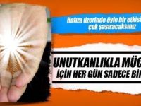 1 Çay Kaşığı tüketmek Unutkanlık Problemini yok edip hafızayı yeniliyor