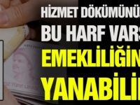 Emekli Maaşınız İptal olmasın diye kontrol etmenizde fayda var