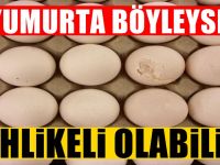 Yumurtanın bayat olup olmadığını anlamanın yolu