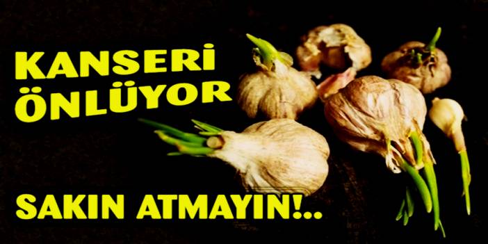 Sarımsakları Yanlış Tüketiyormuşuz Böyle Olduğunda Sakın Çöpe atmayın